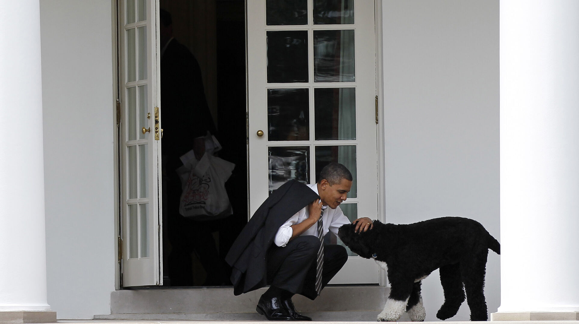 Obama Dog